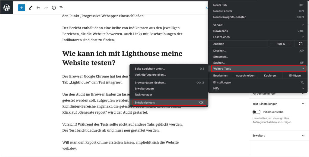 Google Chrome Entwickler Tools im Browser