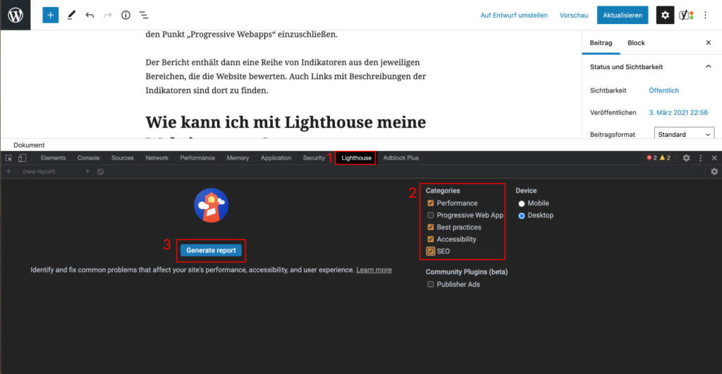 Lighthouse in Google Chrome